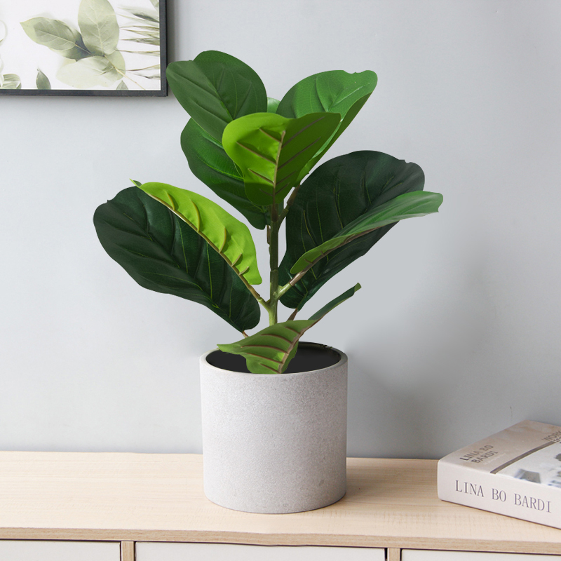 38cm Sztuczne drzewo figowe Sz – Rubber Plant Ficus recenzja i cena
