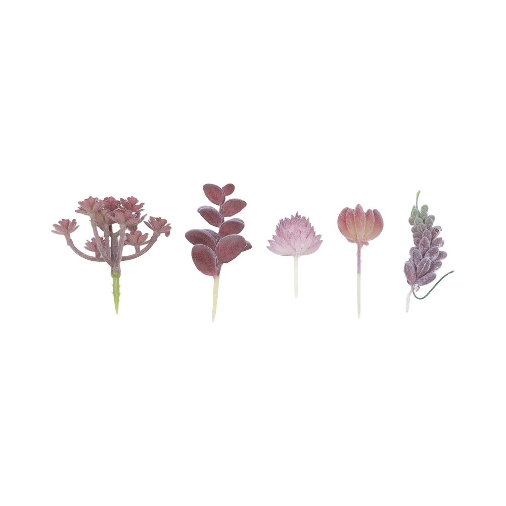 Nowoczesne, sztuczne kompozycj – Succulent Arrangement Mini recenzja i cena