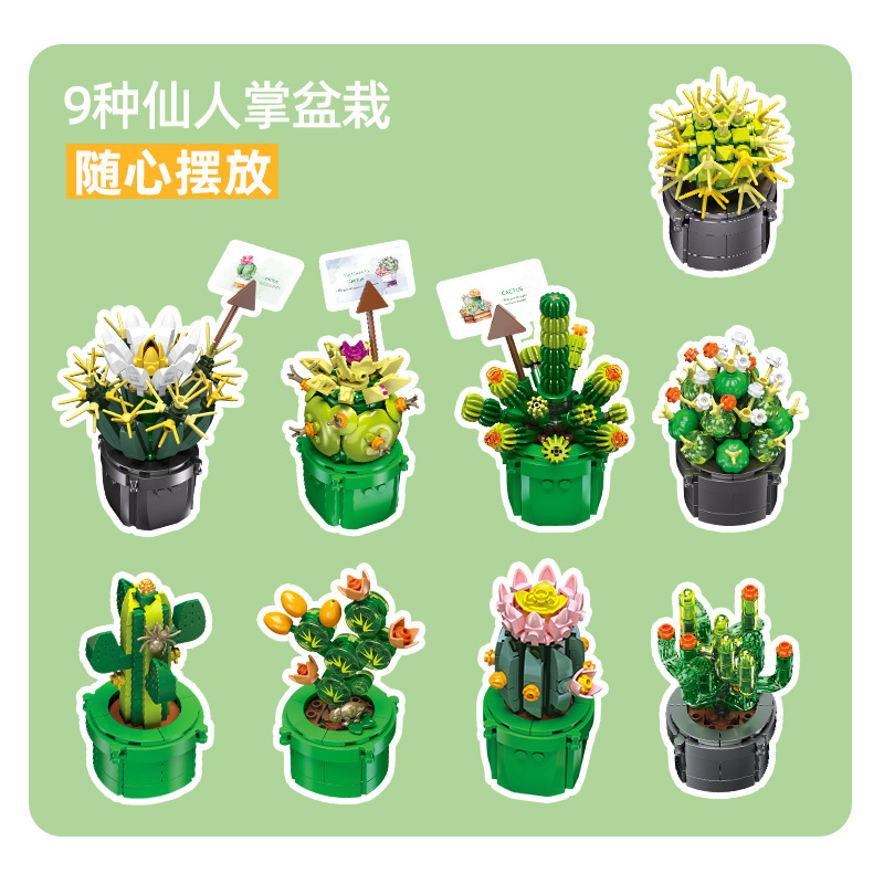 JIE-STAR JJ9175 Kaktus Sukulen – Cactus Mix Pot recenzja i cena