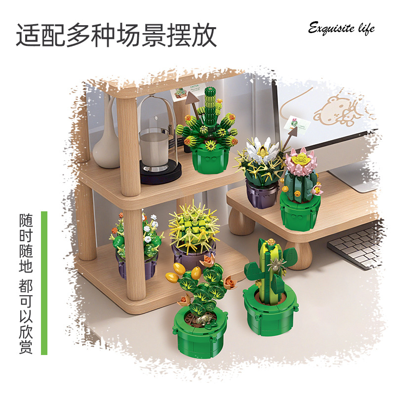 JIE-STAR JJ9175 Kaktus Sukulen – Cactus Mix Pot recenzja i cena