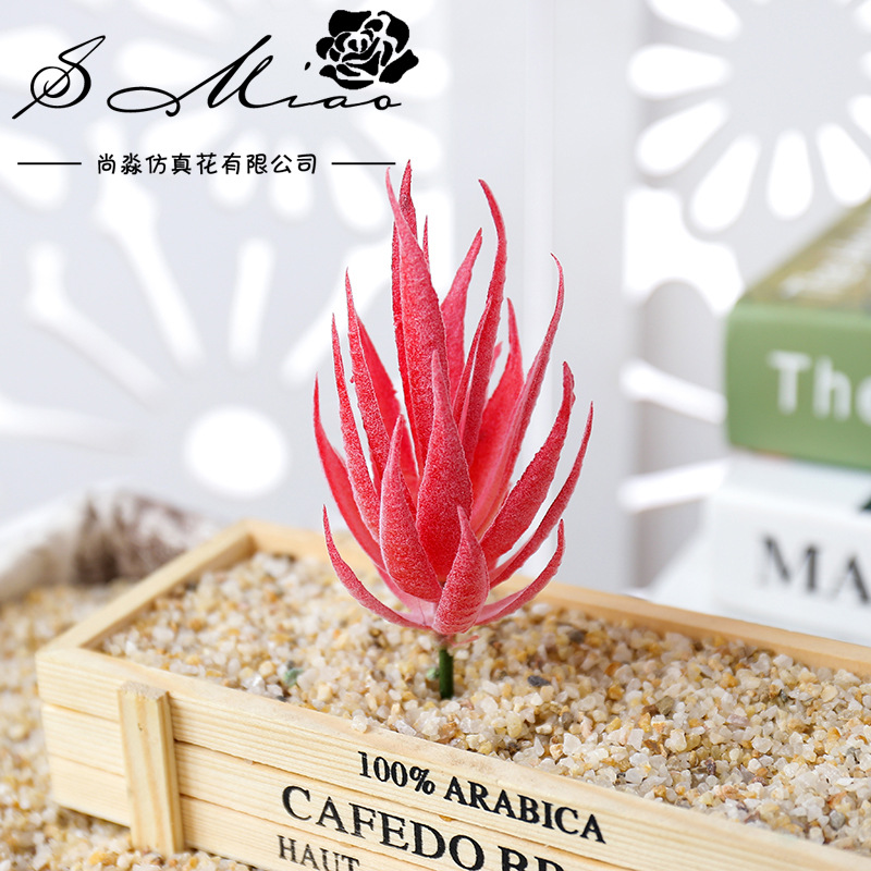 Wusmart Ban Ma Lu Hui Sztuczne – Succulent Arrangement Mini recenzja i cena
