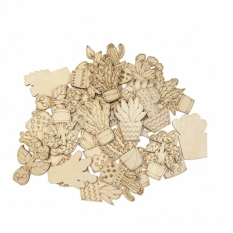 50 SZTUK Mieszane Wzory Kwiaty – Cactus Mix Pot recenzja i cena