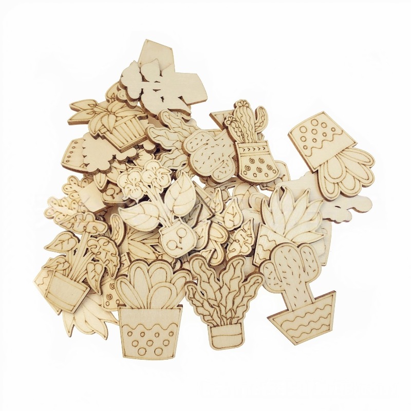 50 SZTUK Mieszane Wzory Kwiaty – Cactus Mix Pot recenzja i cena
